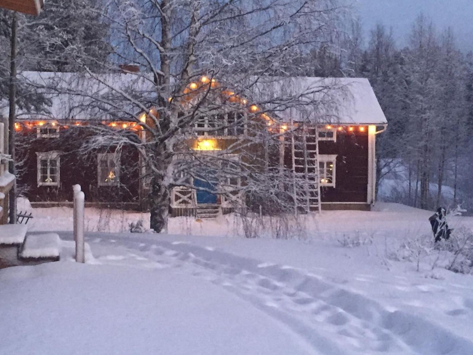 Korvala Log Cabins Dış mekan fotoğraf